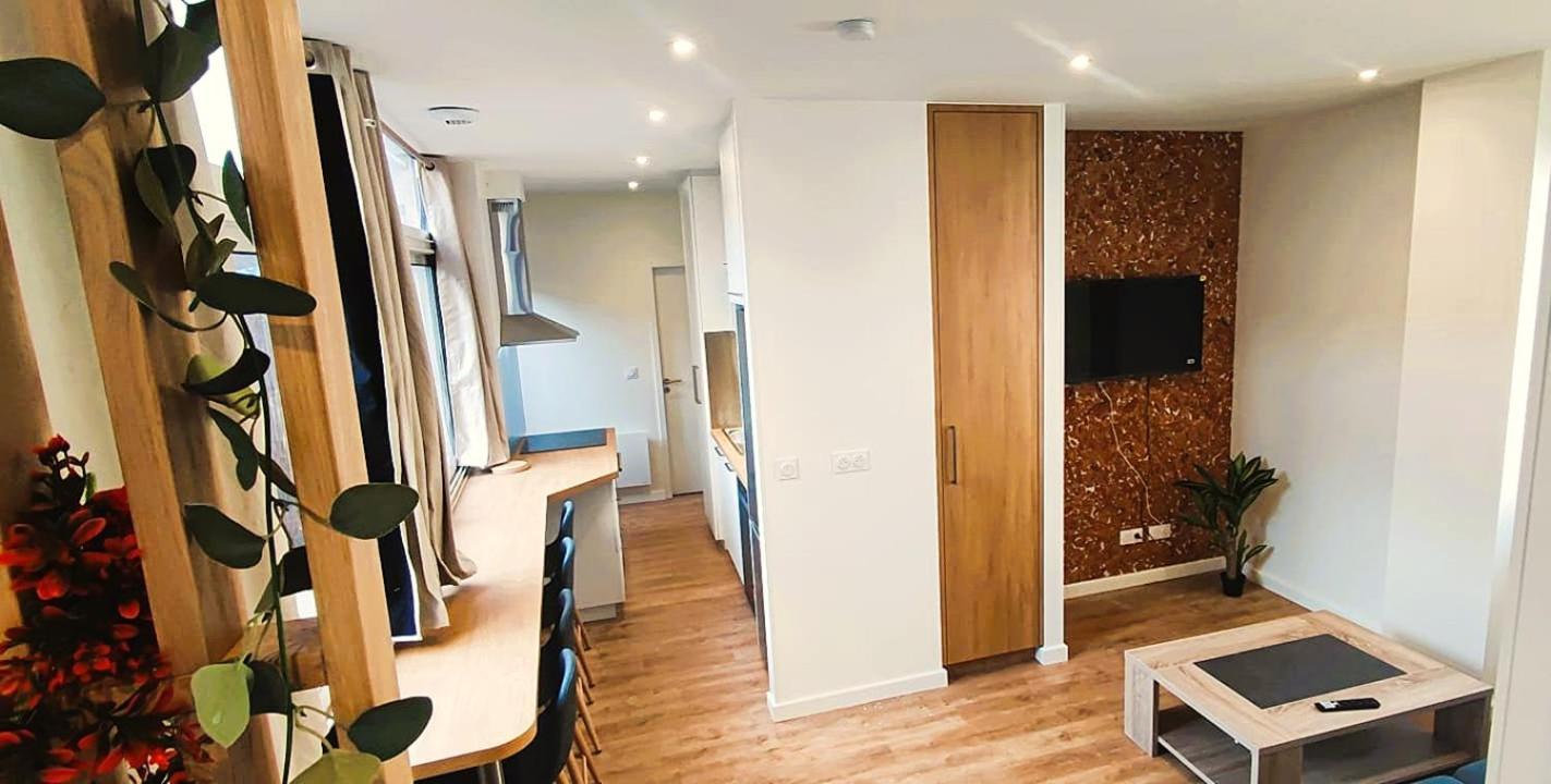 2 appartements - Halles brauhauban Tarbes Bagian luar foto